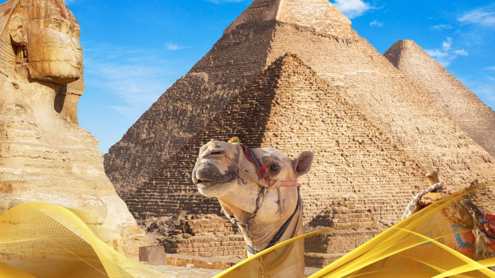 2026 cairo city break 31 05 N IN18