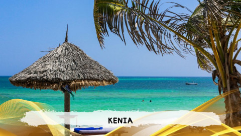 2026 kenya 9,14 08 T IN18