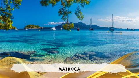 2026 maiorca 11 agosto napoli T IN18