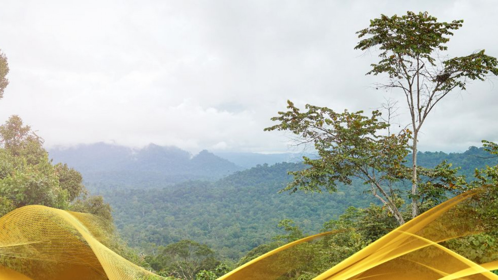 2026 malesia tour mare e altopiani 9 08 O IN18