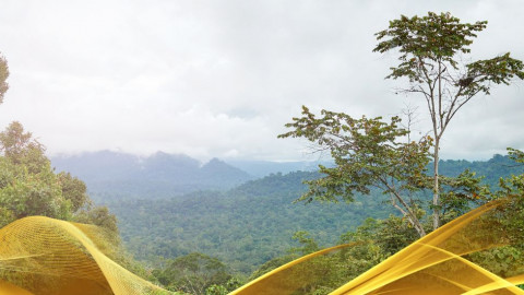 2026 malesia tour mare e altopiani 9 08 O IN18