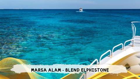 2026 marsa alam da roma blend T IN18