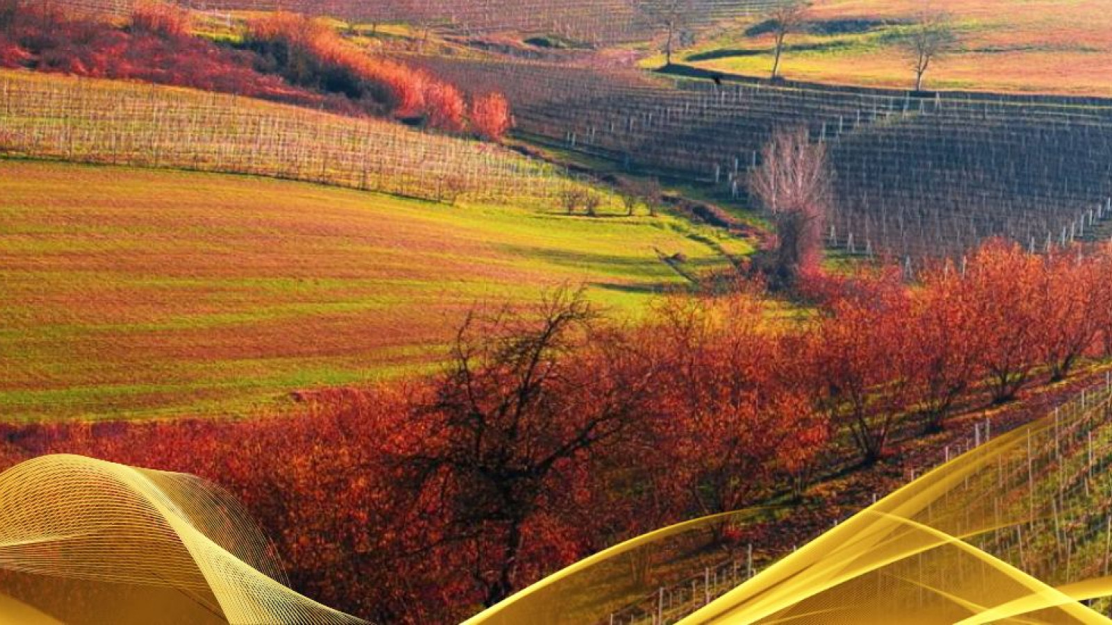 2026 W torino e le langhe 30 05 IN18