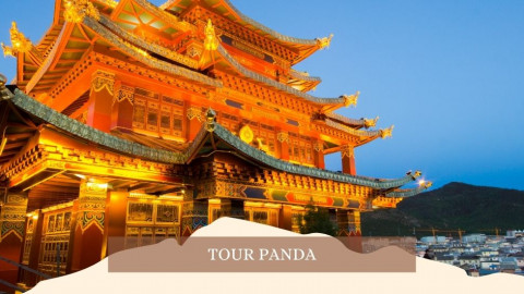 2026 cina tour panda 28 04 IN18