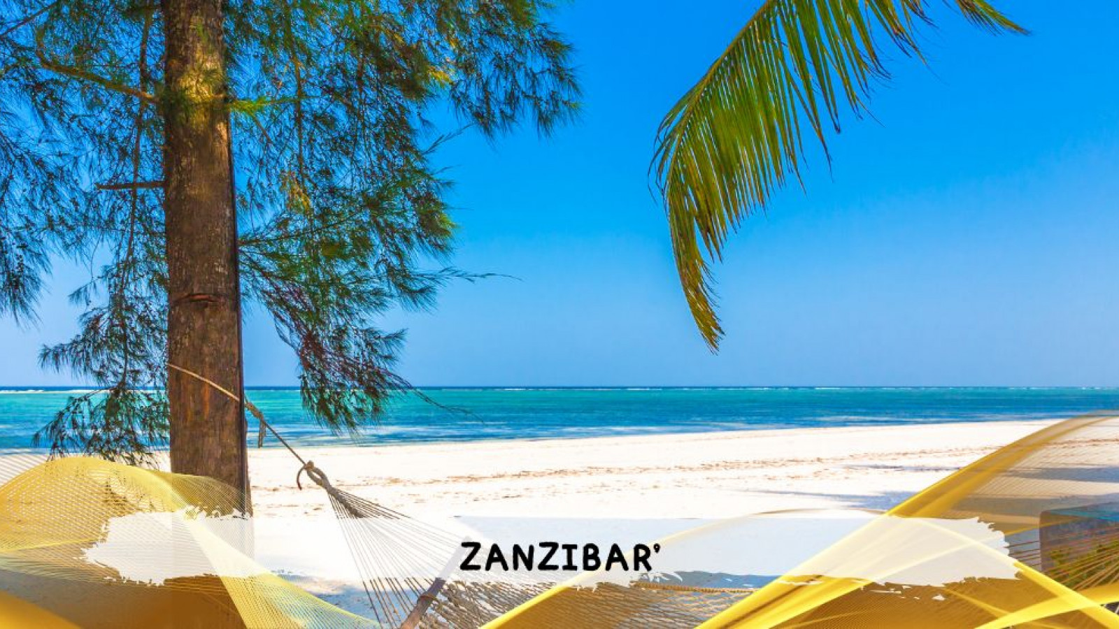 2026 zanzibar 11 08 T IN18