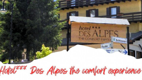 2025 trentino estate des alpes IN18