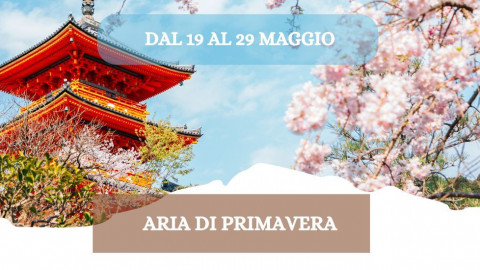 2026 W giappone aria di primavera 19 05 26 IN18
