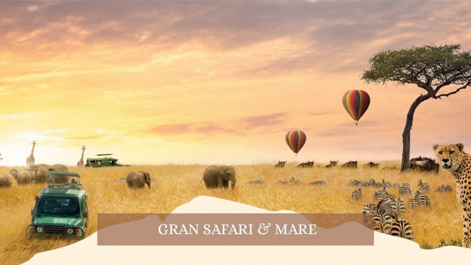 2025 africa gran safari e mare gennaio marzo 26 IN18