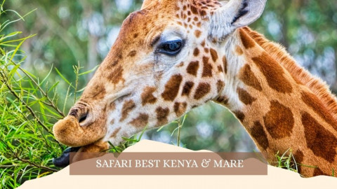2025 africa best kenia e mare gennaio marzo 26 IN18