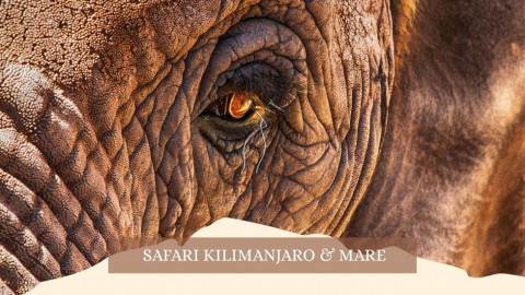 2025 africa kilimangiaro e mare gennaio marzo 2025 IN18