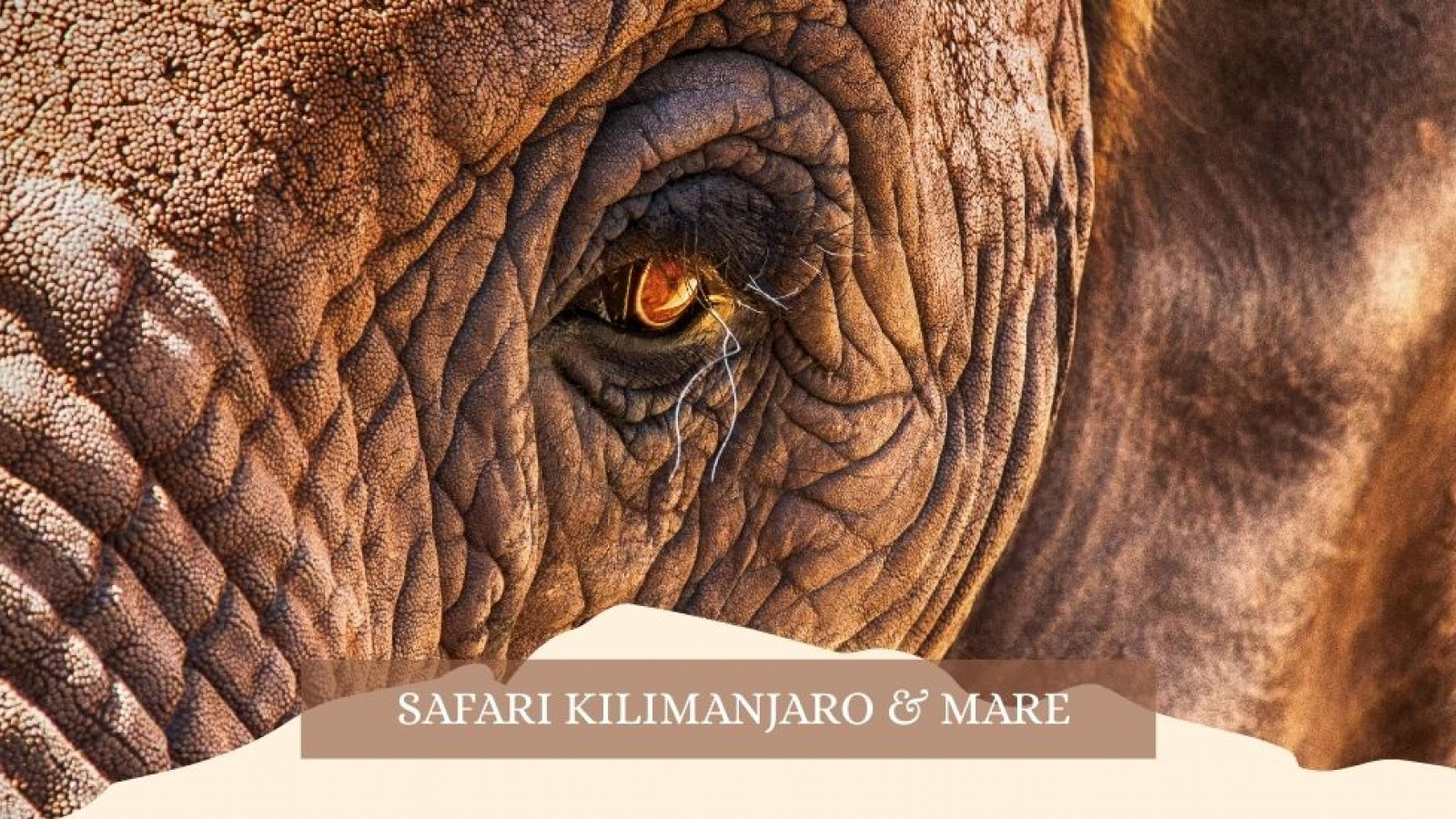 2025 africa kilimangiaro e mare gennaio marzo 2025 IN18