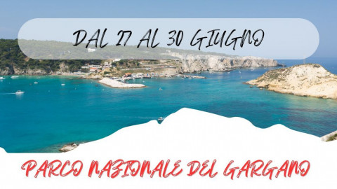 2025 W parco nazionale del gargano 27 06 25 IN18